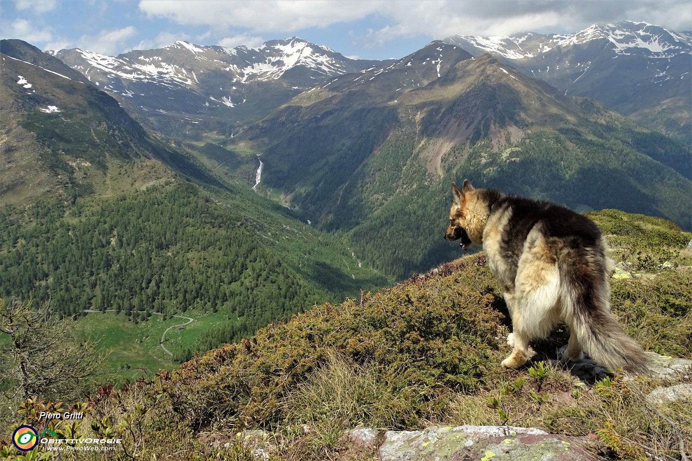 46 Vista sulla Valle del Sellero.JPG